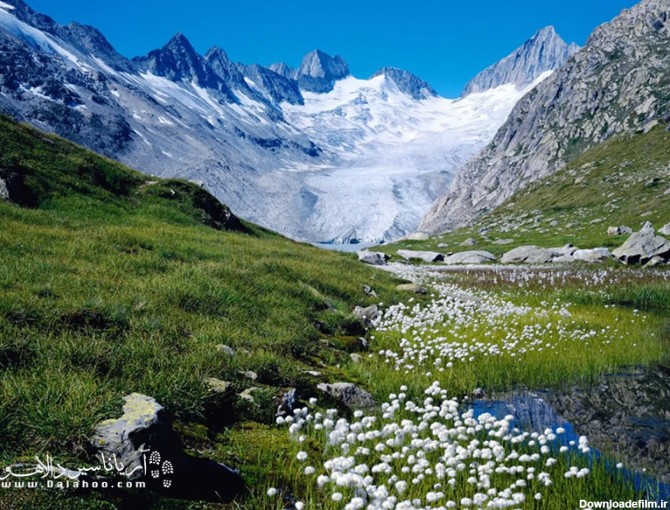 کوه‌های برفی و دشت‌های سرسبز سوئیس.