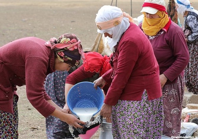 فعالیت روزانه زنان شیر دوش ترکیه + عکس - تسنیم