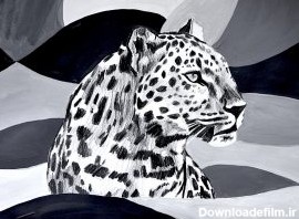 Animals in black & white – Arte a Scuola