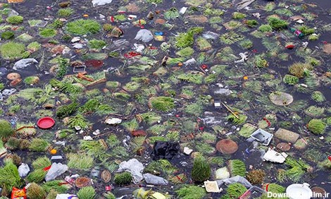 فرارو | (تصاویر) پاکسازی زباله های روز طبیعت