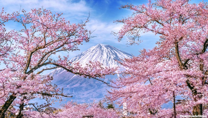 آشنایی با آب و هوای کشور زیبای ژاپن | آژانس سفرنامه