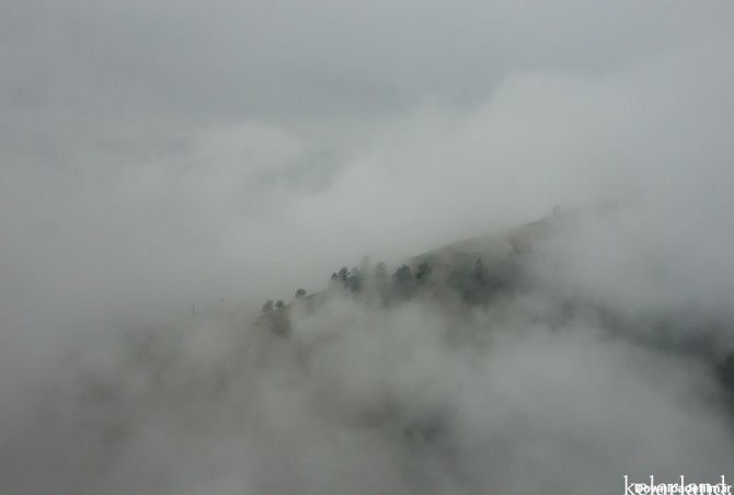جنگل کلاردشت در مه