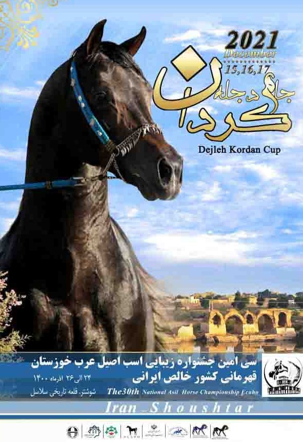 سی‌ امین جشنواره زیبایی اسب اصیل عرب خوزستان در شوشتر برگزار می گردد