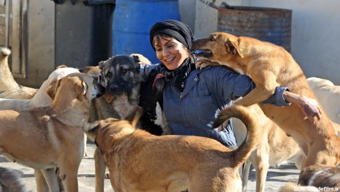 عکاس و قهرمان موتورسواری ایرانی حامی سگ‌های خیابانی در تهران