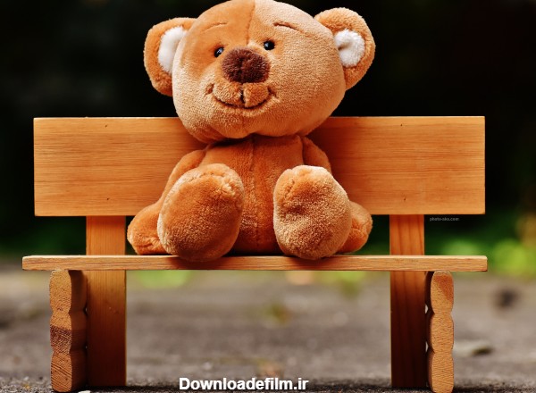 عکس خرس عروسکی تدی بامزه نشسته روی نیمکت چوبی