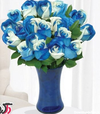 عکس گل رز آبی