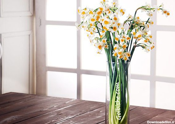 خرید گلدان گل مناسب | گلدان سفالی ، گلدان فلزی ، گلدان شیشه ای ...