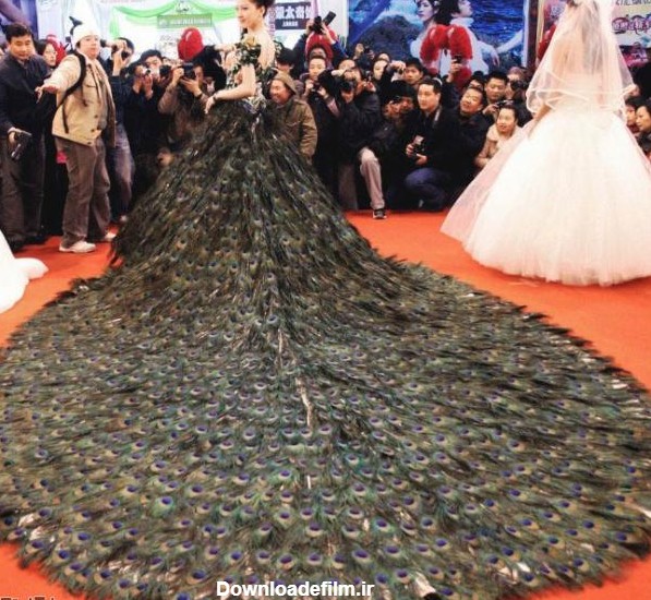 تهیه یک لباس عروس زیبا با 3000 پر طاووس+عکس