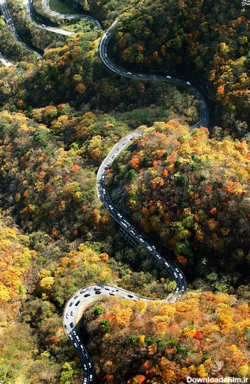 جاده ای زیبا در ژاپن (عکس)