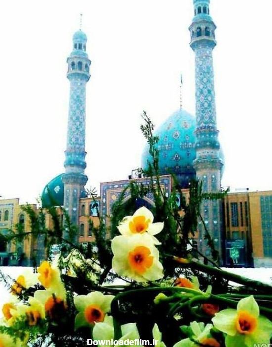 عکس گل نرگس و مسجد جمکران - عکس نودی