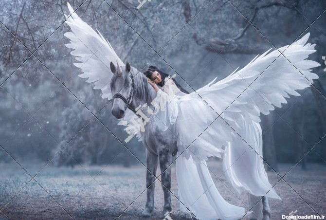 تصویر زن بر روی اسب بالدار سفید