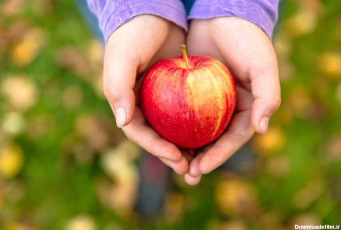 50 عکس خاص و هنری از سیب های خوشمزه و خوشرنگ