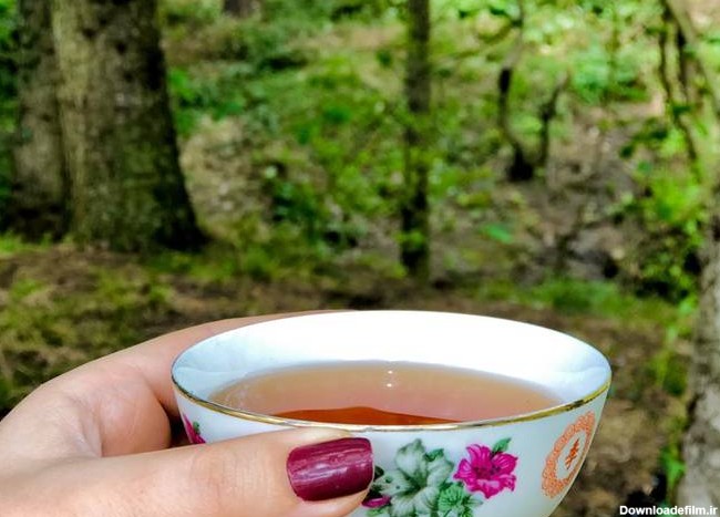 طرز تهیه چای زغالی☕️ ساده و خوشمزه توسط setareh_refah93 - کوکپد