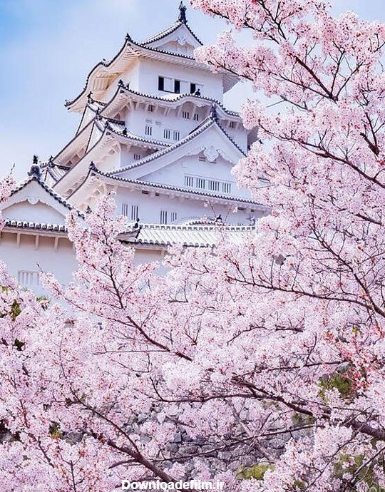 عکس زیبای ژاپن - عکس نودی