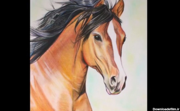 عکس نقاشی اسب با مداد رنگی