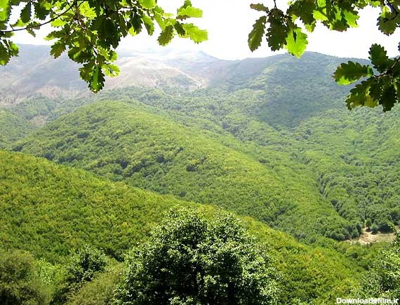 آشنایی با جنگل های ارسباران در ایران