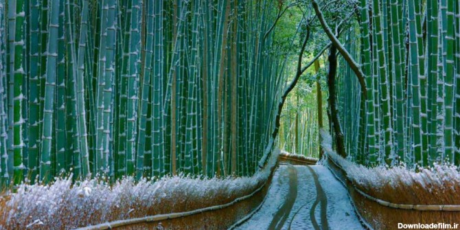 15 مکان زیبا در ژاپن که از وجود آن بی ‌خبرید!