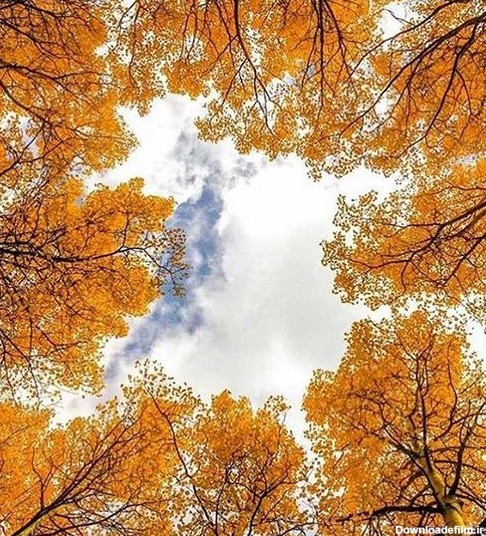 عکس زیبا از پاییز برای پروفایل