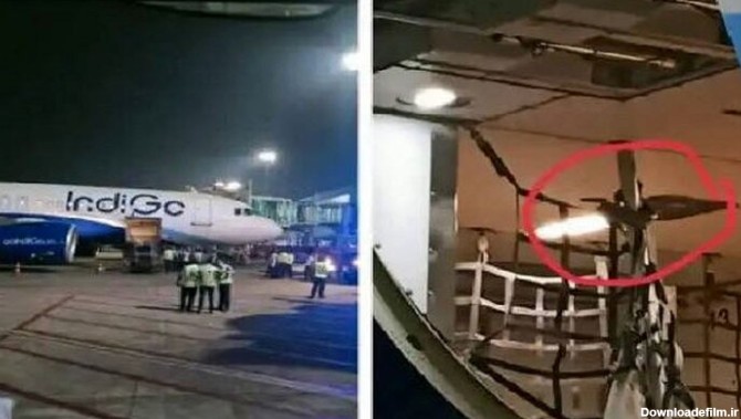 پیدا شدن مار در داخل یک هواپیما موجب وحشت مسافران شد/ فیلم