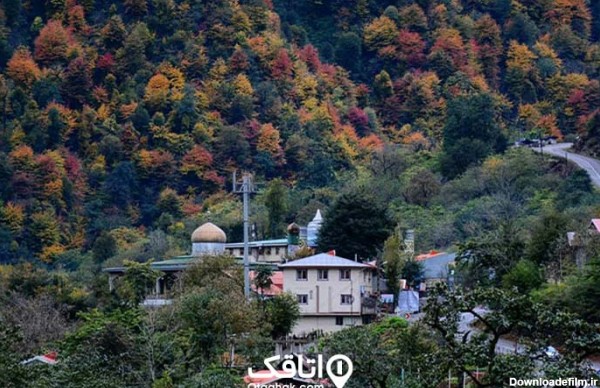 چند خانه و یک مسجد احاطه شده در جنگل سبزو زرد