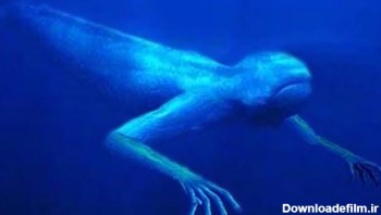 ترسناک‌ترین هیولا‌های دریایی سال ۲۰۱۷ +تصاویر