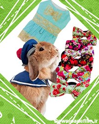 خرید لباس خرگوش 🐰 با بیشترین تنوع + نکات مهم | جی جی لوپ