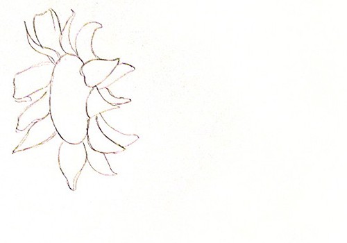 آموزش گام به گام نقاشی گل آفتابگردان با مداد رنگی