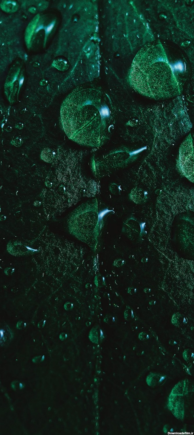 دانلود تصویر زمینه آیفون ۱۱ و آیفون ۱۱ پرو با کیفیت HDR - ترنجی