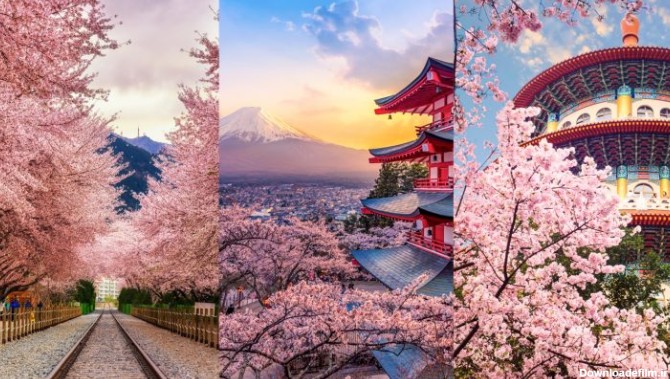 بازدید از کشور ژاپن در فصل بهار - راهنمای سفر به ژاپن