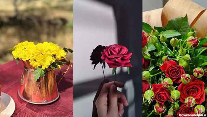 جدیدترین عکس گل زیبا و خاص برای صفحه مجازی خود و یا استوری ...