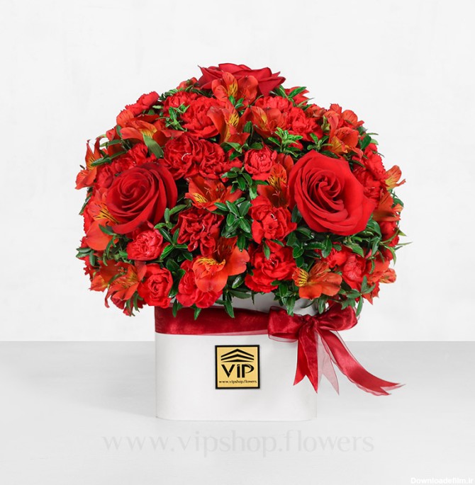 باکس گل مربعی :: سفارش آنلاین جعبه گل مربعی - VIP Shop