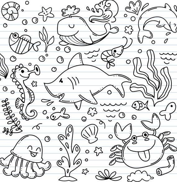عکس جلبک دریایی برای نقاشی