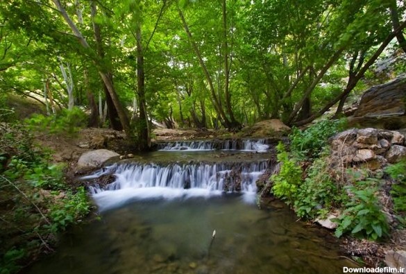 عکس از طبیعت نوراباد ممسنی