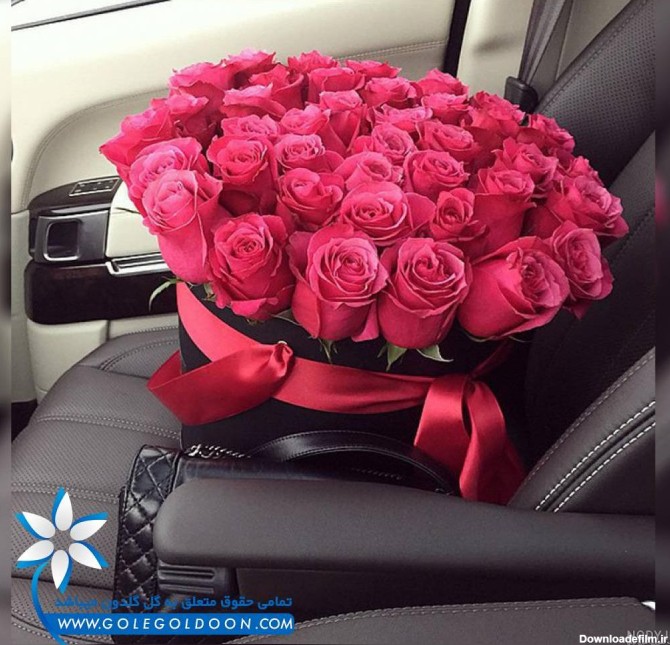 عکس گل رز قرمز تو ماشین