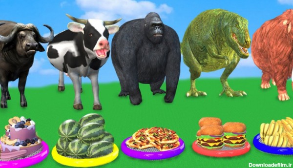 مسابقه حیوانات _ چالش غذایی مناسب _ انیمیشن حیوانات