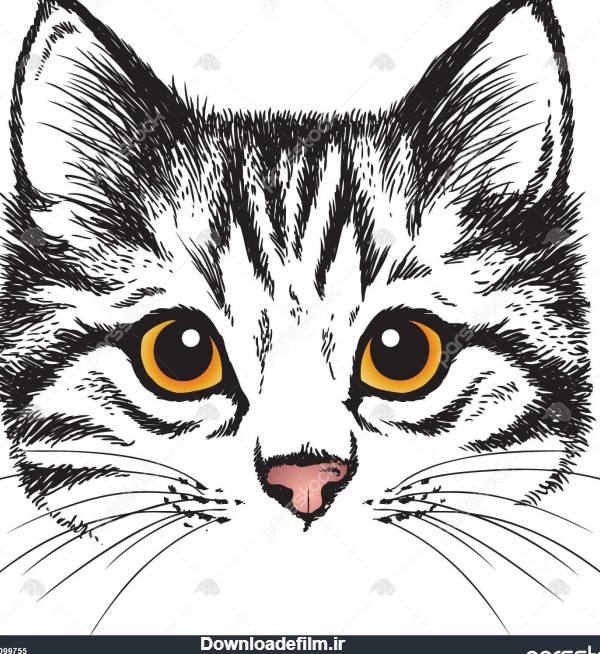 طرح وکتور از چهره های بچه گربه تلطیف در 1099755