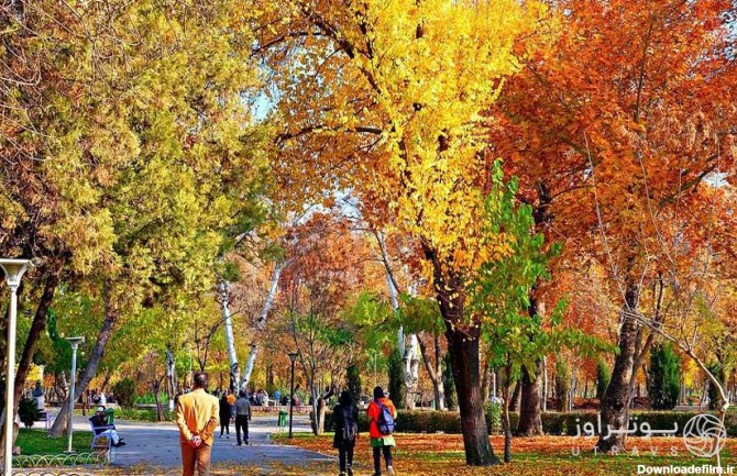 مکان های دیدنی مشهد در پاییز | 🍂 معرفی جاذبه‌های پاییزی مشهد