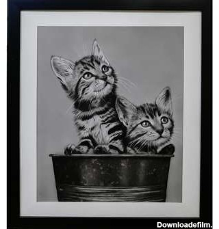 قیمت و خرید تابلو نقاشی سیاه قلم طرح گربه های کنجکاو
