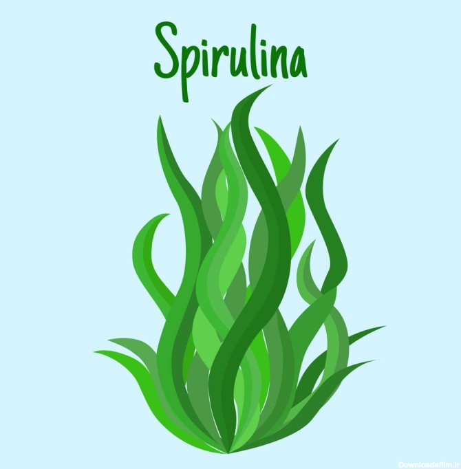 خواص اعجاب انگیز جلبک اسپیرولینا