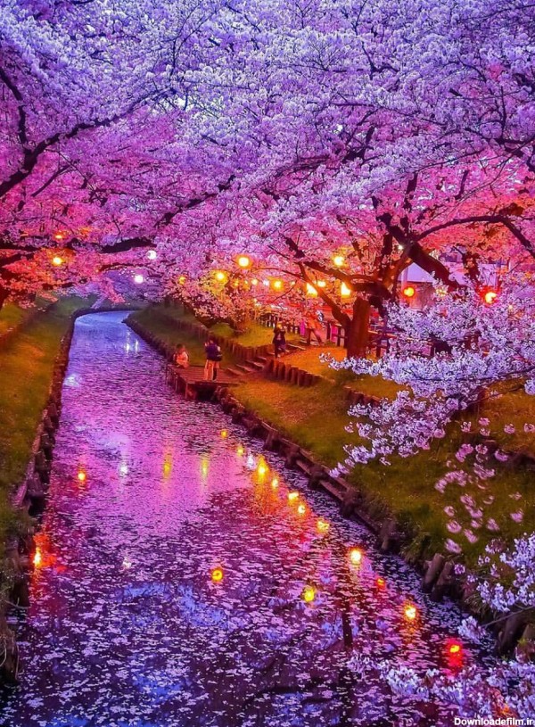 طبیعت زیبای ژاپن - عکس ویسگون