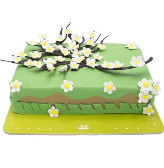 کیک تولد بهاری (BB257) | قنادی ناتلی