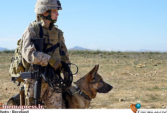 سینماگران آمریکایی چگونه از "سگ" قهرمان جنگی می‌سازند + عکس ...