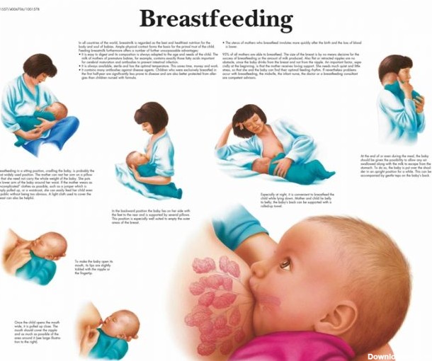 پوستر شیر دادن به نوزاد به زبان انگلیسی « پوسترهای آموزشی ...