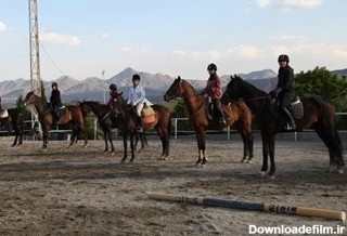 باشگاه‌های اسب سواری تهران | آموزشی و تفریحی + قیمت و عکس - کجارو
