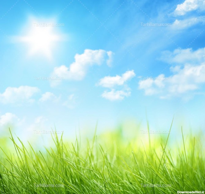 تصویر با کیفیت دشت سرسبز و آسمان آبی و نور خورشید