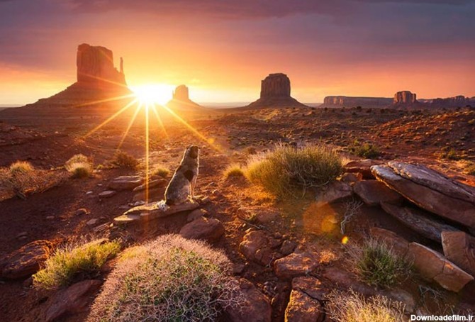 تصاویر زیبای خورشید از یک عکاس فرانسوی