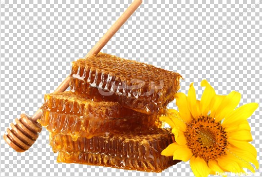 Borchin-ir-honeycomb fresh honey stock image free PNG photo01 دانلود عکس باکیفیت عسل طبیعی۲