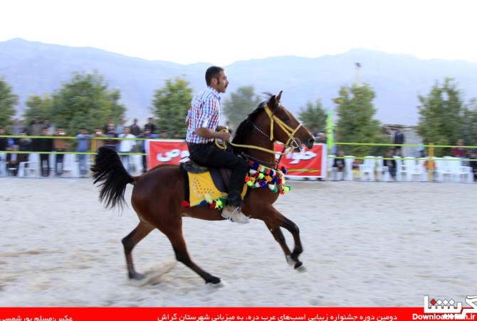 یورتمه‌ی زیباترین اسب‌های فارس در گراش