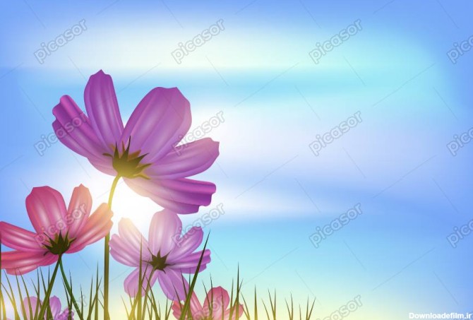 وکتور پس زمینه فصل بهار با گلهای بنفش و آسمان آبی و درخشش نور ...