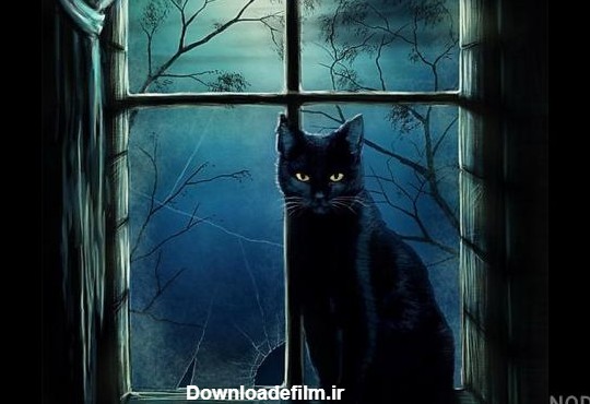 عکس گربه سیاه برای پروفایل